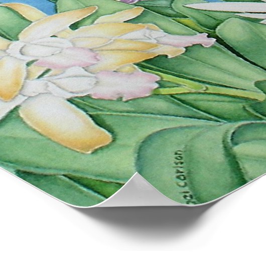 熱帯島 ポスター (角)