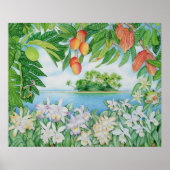 熱帯島 ポスター (正面)