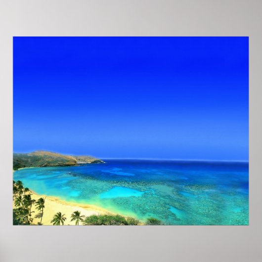 熱帯島 ポスター (正面)