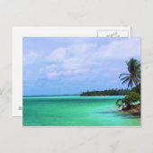 熱帯島 ポストカード (正面/裏面)
