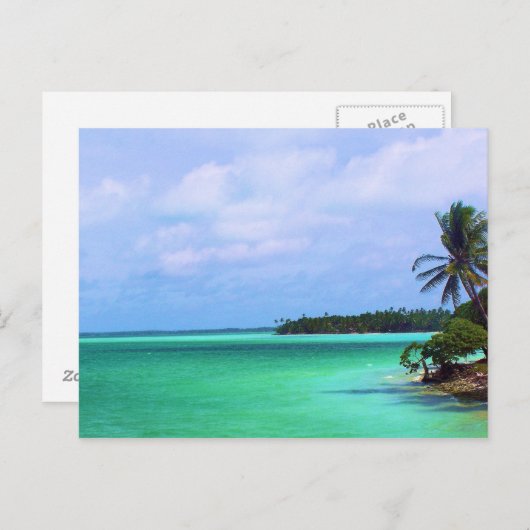 熱帯島 ポストカード (正面/裏面)