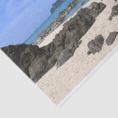 熱帯島 薄葉紙 (詳細)