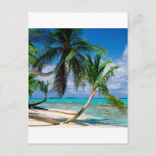 熱帯島Tepukaツバル ポストカード (正面)