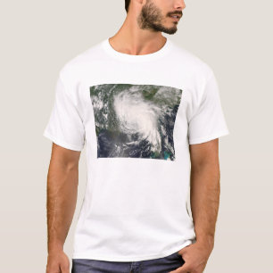 熱帯嵐の妖精3 Tシャツ