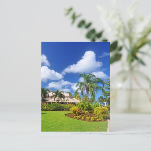 熱帯庭園 ポストカード (スタンド正面)