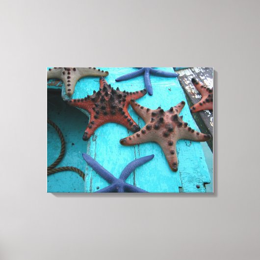 熱帯性のカモメ キャンバスプリント (正面)