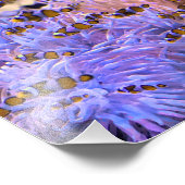 熱帯性ウチノコ海サンゴ フォトプリント            (角)