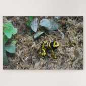 熱帯性カエル。 ジグソーパズル (横)