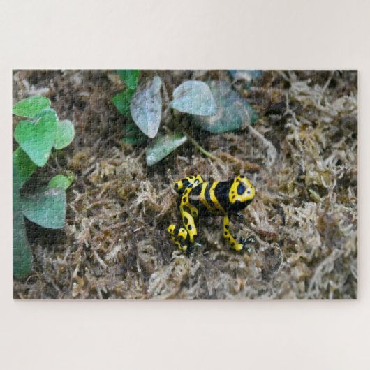 熱帯性カエル。ジグソーパズル ジグソーパズル (横)