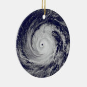 熱帯性サイクロン セラミックオーナメント (右)
