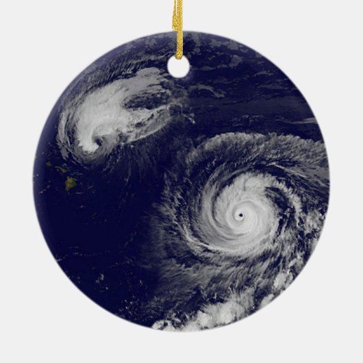 熱帯性サイクロン セラミックオーナメント (裏面)