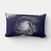 熱帯性サイクロン ランバークッション (裏面)