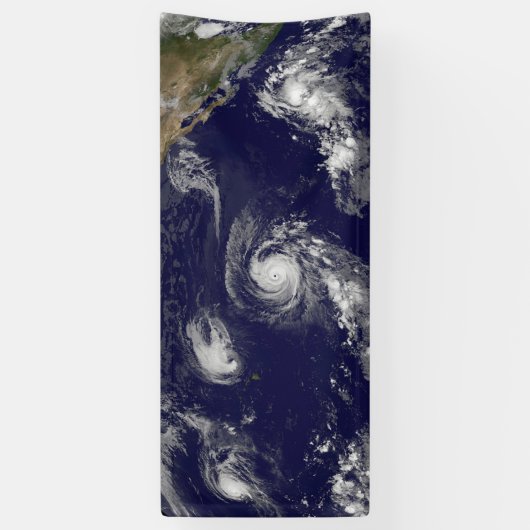 熱帯性サイクロン 横断幕 (縦)