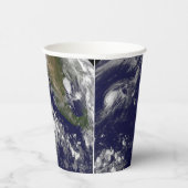 熱帯性サイクロン 紙コップ (右)