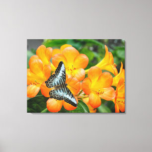 熱帯性シャクナゲのある青い蝶 キャンバスプリント
