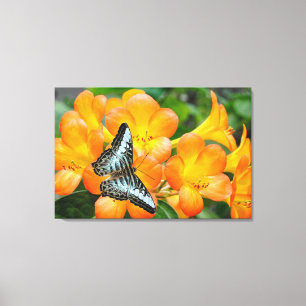 熱帯性シャクナゲのある青い蝶 キャンバスプリント