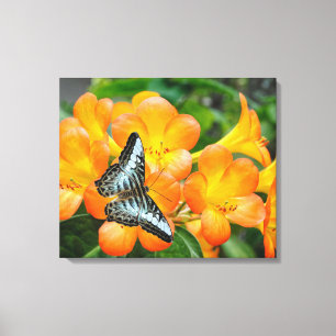 熱帯性シャクナゲのある青い蝶 キャンバスプリント