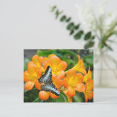 熱帯性シャクナゲのある青い蝶 シーズンポストカード (スタンド正面)