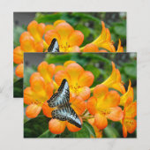 熱帯性シャクナゲのある青い蝶 シーズンポストカード (正面/裏面)