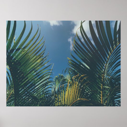熱帯性パーム葉 ポスター (正面)
