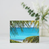 熱帯性ビーチにパームフロンツを額装 ポストカード (スタンド正面)