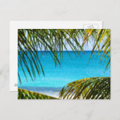 熱帯性ビーチにパームフロンツを額装 ポストカード (正面/裏面)