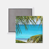 熱帯性ビーチにパームフロンツを額装 マグネット (正面/裏面)