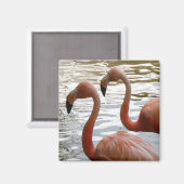 熱帯性フラミンゴの鳥類マグネット マグネット (正面/裏面)