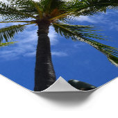 熱帯性ヤシの木の写真 ポスター (角)