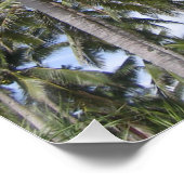 熱帯性ヤシの木 ポスター (コーナー)