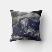 熱帯性低気圧カティア、リー、マリア、ネイト。 クッション (裏面)