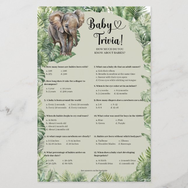 熱帯性少年テディベアのパンパスグラスベビートリビア (正面)