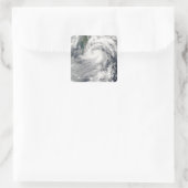 熱帯性嵐のチャントゥ スクエアシール (バッグ)