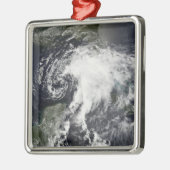 熱帯性嵐アルベルト メタルオーナメント (左)