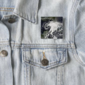 熱帯性嵐アルベルト 缶バッジ (インサイチュ)