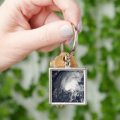 熱帯性嵐ゼータ キーホルダー (手)