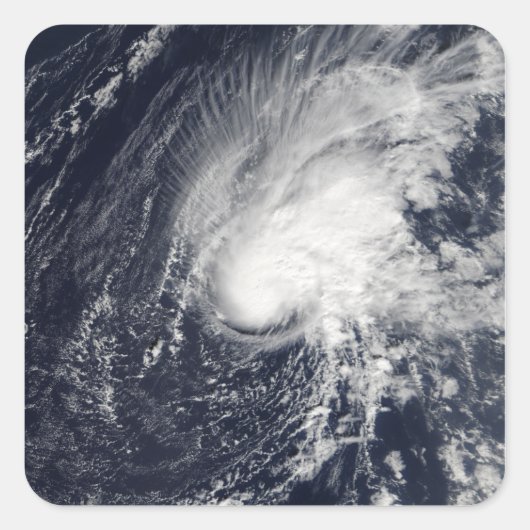 熱帯性嵐ゼータ スクエアシール (正面)