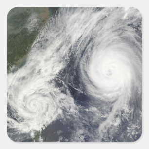 熱帯性嵐パルマと台風すごいメロール スクエアシール