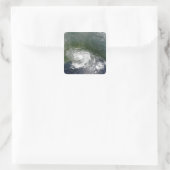 熱帯性嵐ベルタ スクエアシール (バッグ)