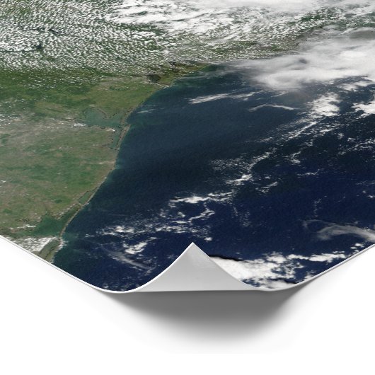 熱帯性嵐ベルタ ポスター (角)