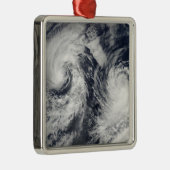 熱帯性嵐ボリス・クリスティナ メタルオーナメント (右)