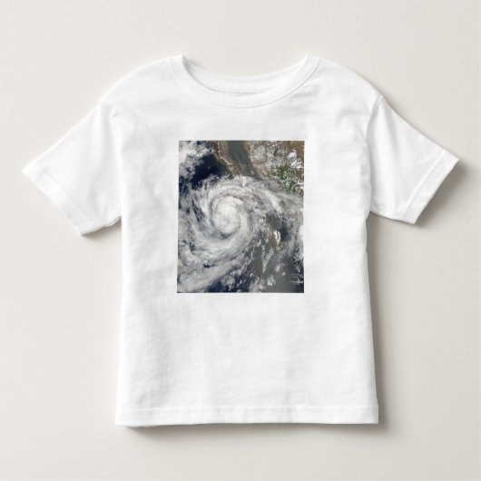 熱帯性風雨エミリア トドラーTシャツ (正面)