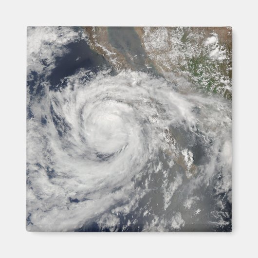 熱帯性風雨エミリア マグネット (正面)