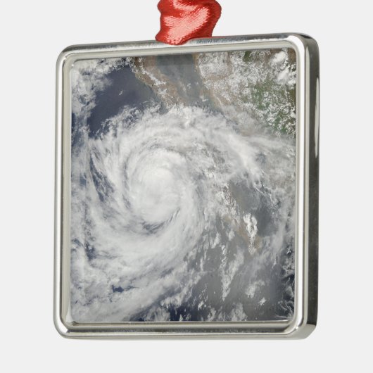 熱帯性風雨エミリア メタルオーナメント (左)