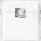 熱帯性風雨チャンチュ スクエアシール (バッグ)