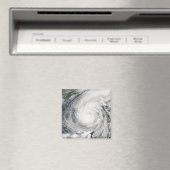 熱帯性風雨チャンチュ マグネット (インサイチュ (食洗機))