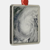 熱帯性風雨チャンチュ メタルオーナメント (右)