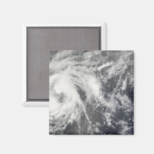 熱帯性風雨ヨセフィン マグネット (正面/裏面)