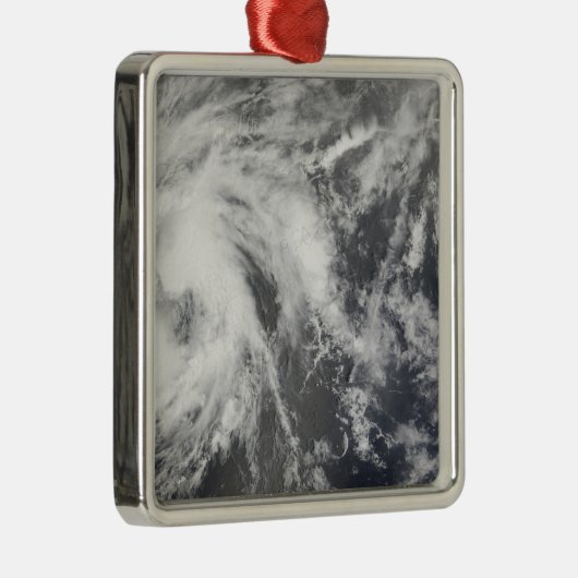 熱帯性風雨ヨセフィン メタルオーナメント (右)