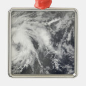 熱帯性風雨ヨセフィン メタルオーナメント (正面)